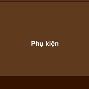 Phụ kiện (phào, nẹp, len chân tường)