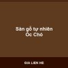 Sàn gỗ tự nhiên Óc Chó - Vinh Quang Home