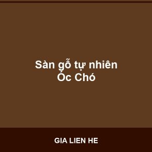 Sàn gỗ tự nhiên Óc Chó - Vinh Quang Home